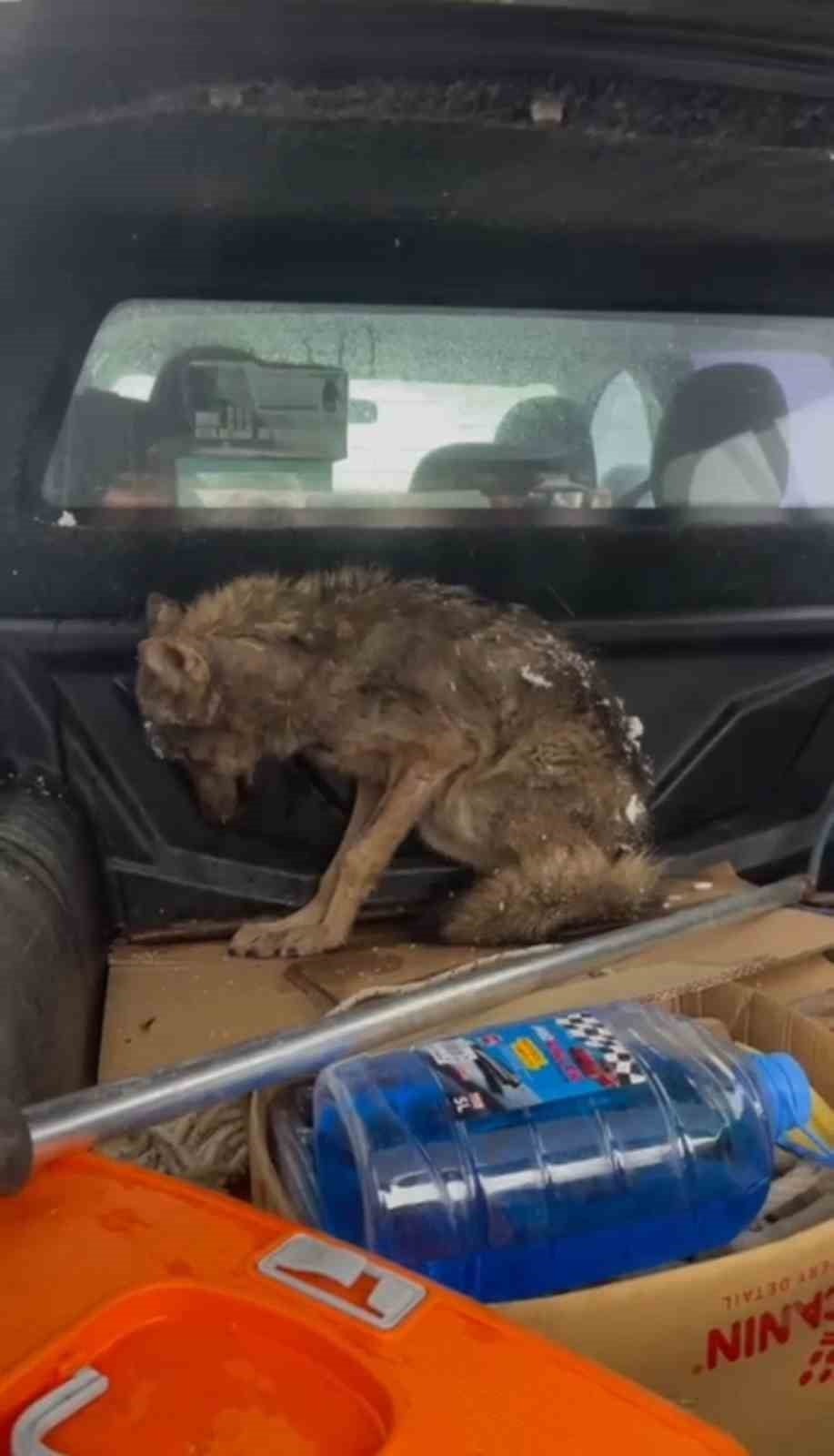 ZONGULDAK (İHA) - ZONGULDAK’IN ALAPLI İLÇESİNE BAĞLI AYDINYAYLA KÖYÜ’NDE, KAR YAĞIŞI NEDENİYLE...