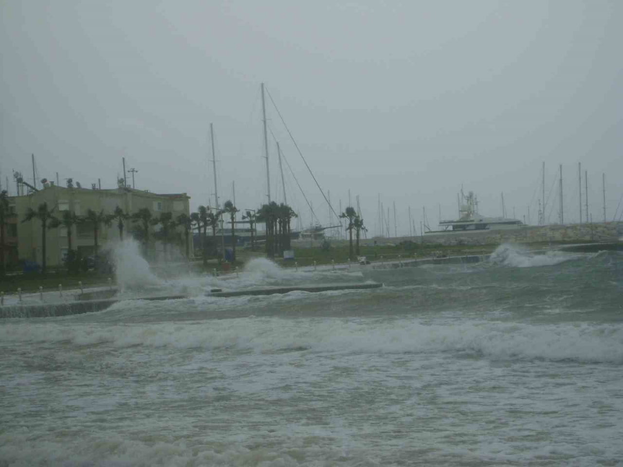 (ARŞİV FOTO) - DİDİM İLÇE TARIM VE ORMAN MÜDÜRLÜĞÜ, BÖLGEDE BEKLENEN FIRTINA VE KUVVETLİ YAĞIŞ...
