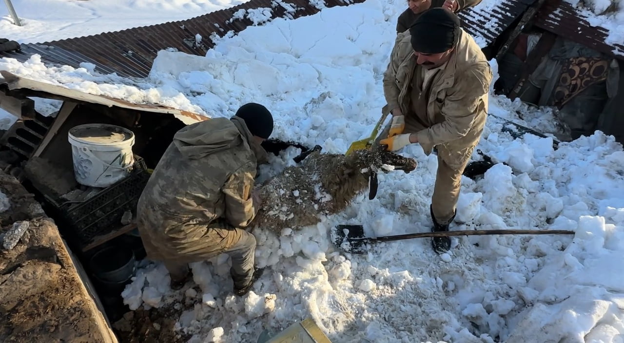 HAKKARİ’NİN YÜKSEKOVA İLÇESİNDE KAR YAĞIŞI NEDENİYLE BİR ODUNLUK VE AHIRIN ÇATISININ ÇÖKMESİ...