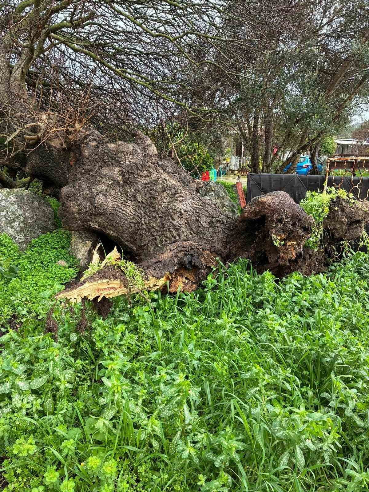 İZMİR’İN ÇEŞME İLÇESİNDE ETKİLİ OLAN SAĞANAK YAĞIŞ VE FIRTINA HAYATI OLUMSUZ ETKİLEDİ. YAĞIŞLAR...