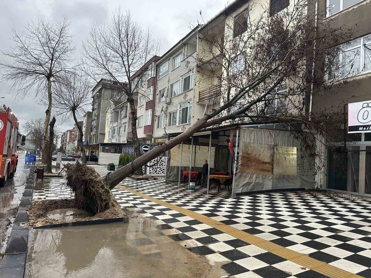 TEKİRDAĞ'IN MURATLI İLÇESİNDE ETKİLİ OLAN ŞİDDETLİ RÜZGARDA BİR AĞAÇ KAHVEHANENİN ÇATISINA...